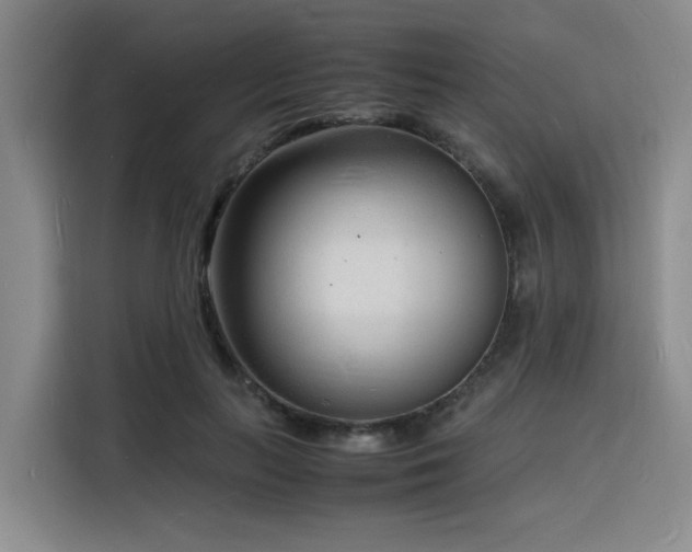 X0000116140647200911231312
