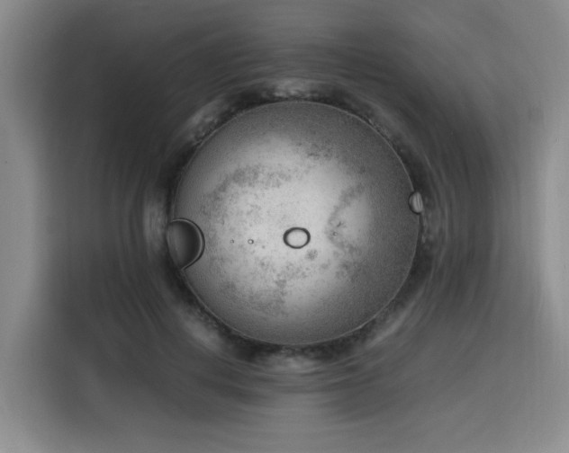 X0000116140648200911231312