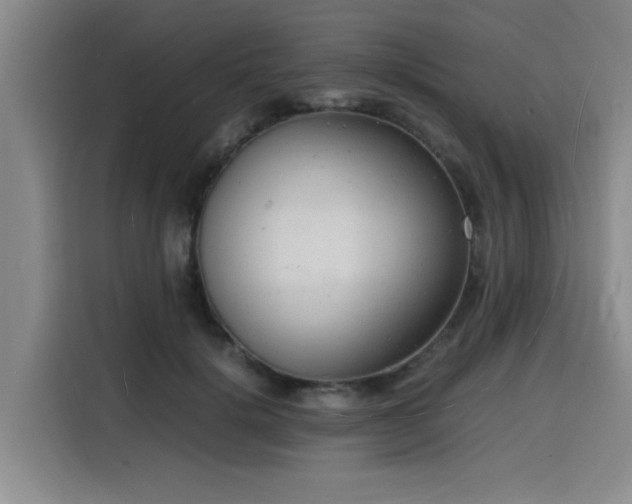 X0000116140652200911231312