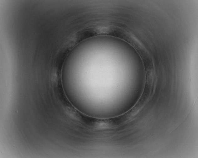X0000116140655200911231312