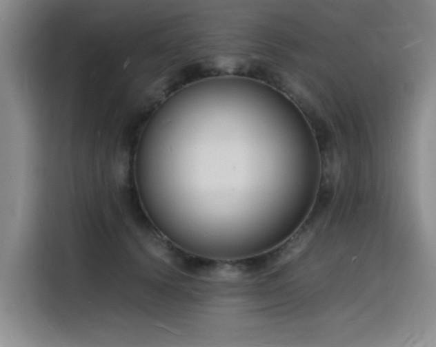 X0000116140656200911231312