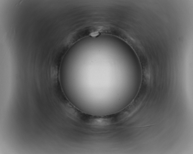 X0000116140657200911231312