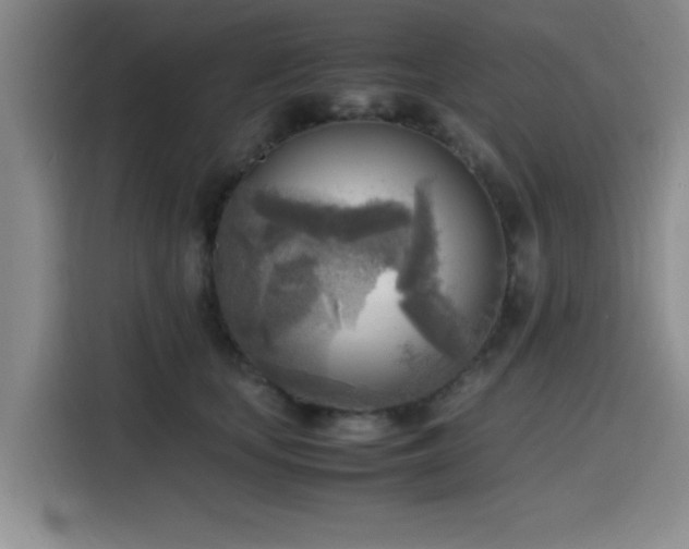 X0000116140659200911231312