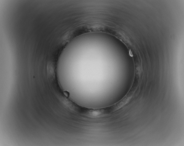 X0000116140662200911231312