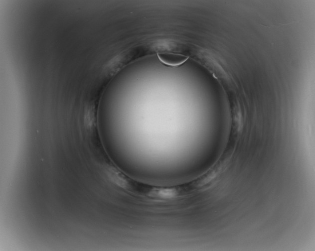 X0000116140665200911231312