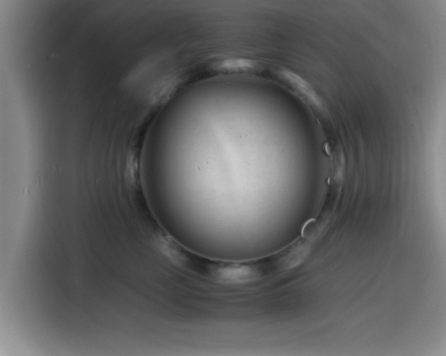 X0000116140669200911231312