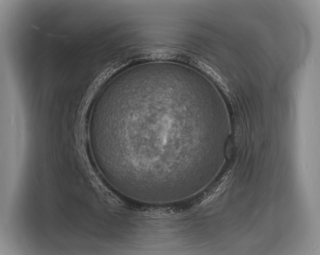 X0000116140673200911231312