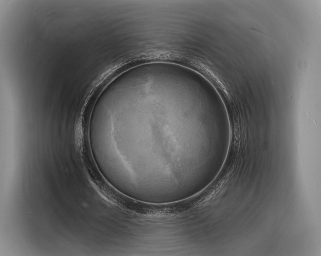 X0000116140674200911231312