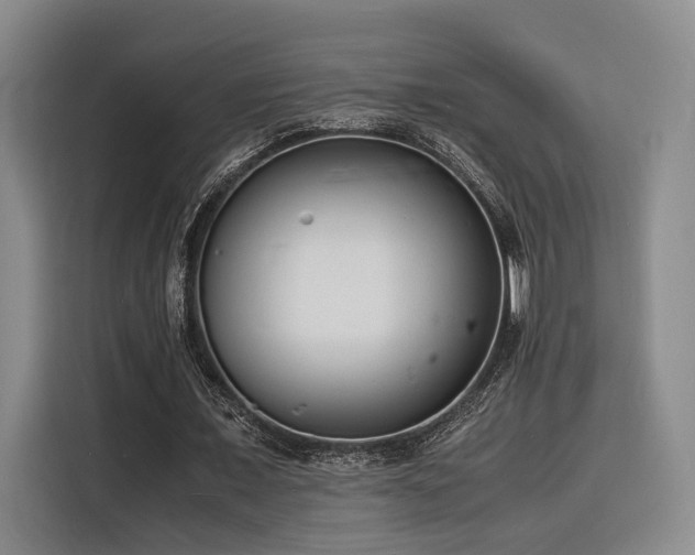 X0000116140675200911231312