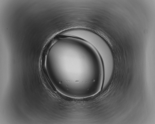 X0000116140676200911231312