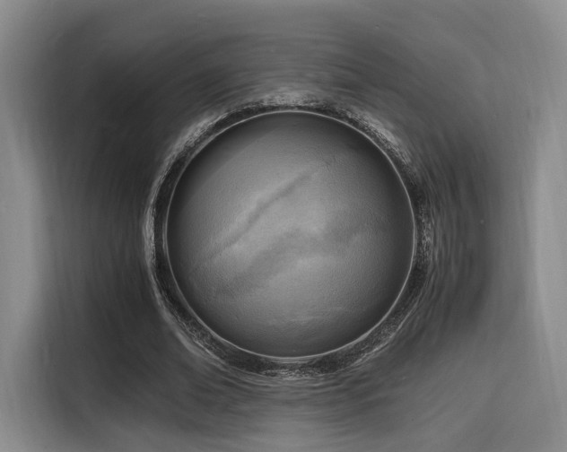 X0000116140678200911231312