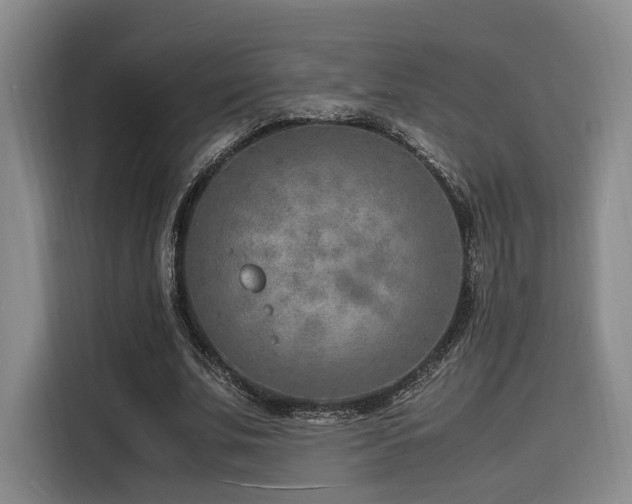 X0000116140679200911231312