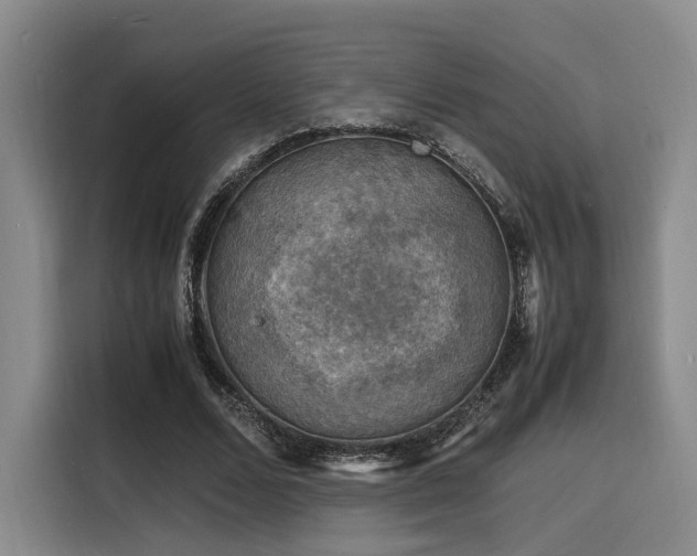 X0000116140680200911231312