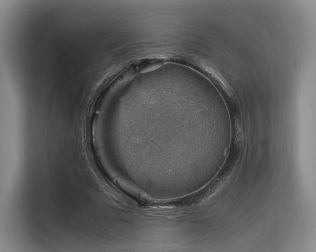 X0000116140681200911231312