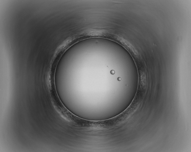 X0000116140682200911231312