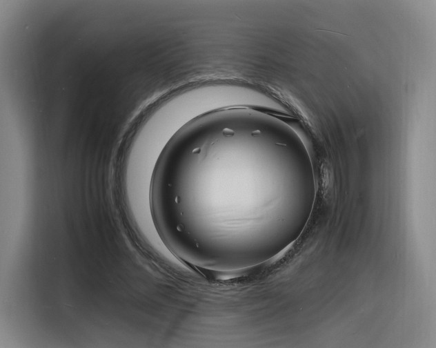 X0000116140684200911231311