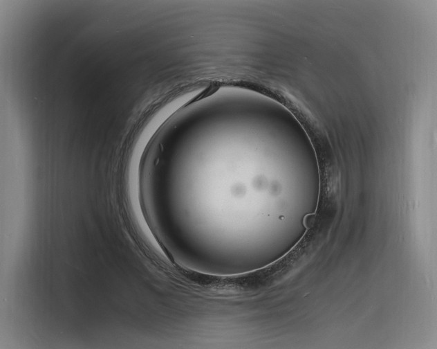 X0000116140685200911231311