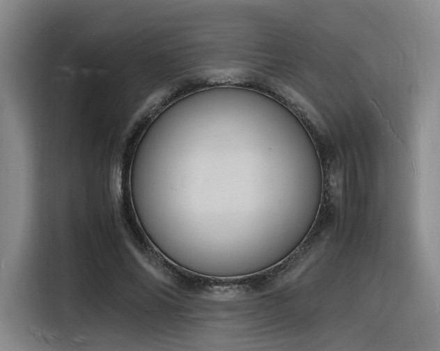X0000116140686200911231311