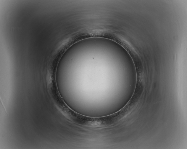 X0000116140687200911231311