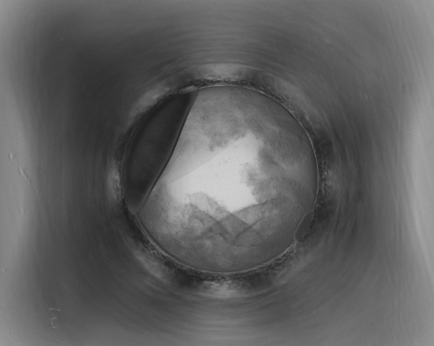 X0000116140688200911231311