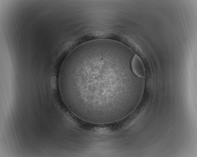 X0000116140689200911231311