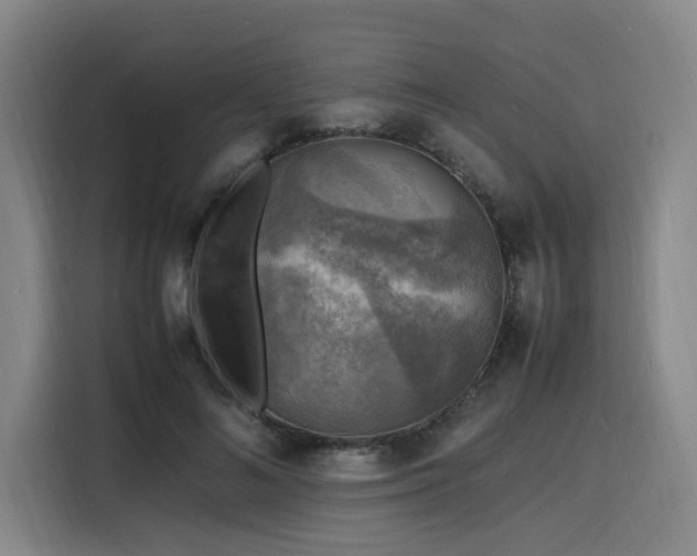 X0000116140692200911231311