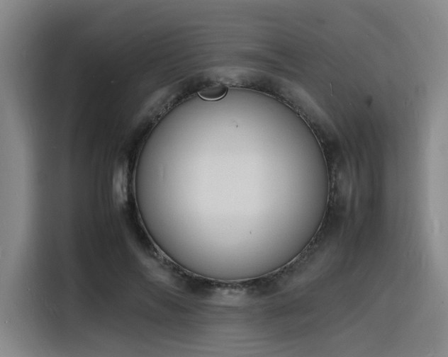 X0000116140694200911231311