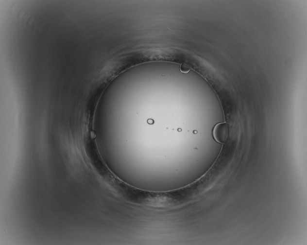 X0000116140695200911231311