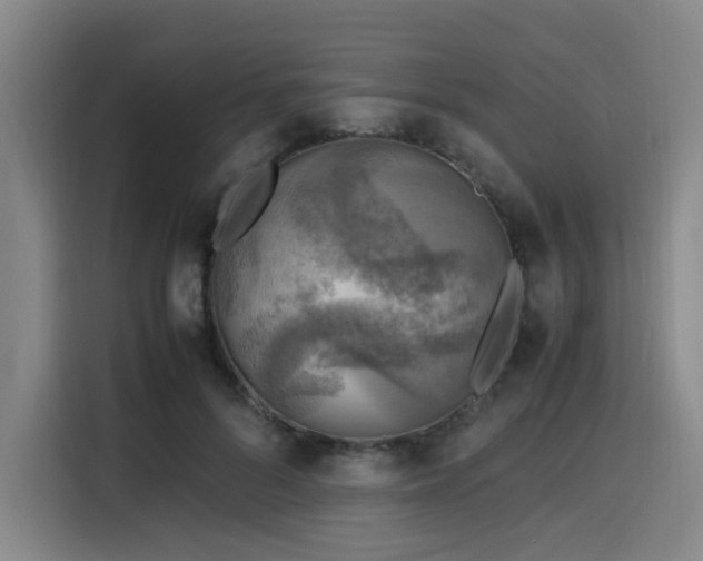X0000116140696200911231311