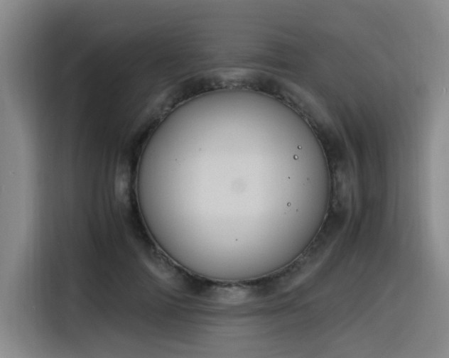 X0000116140698200911231311