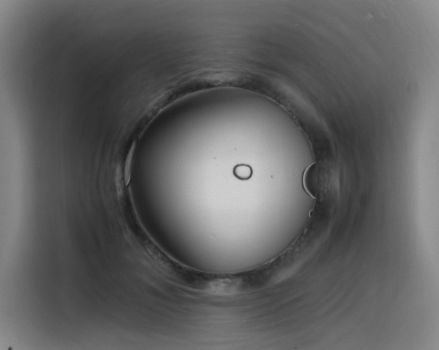 X0000116140700200911231311