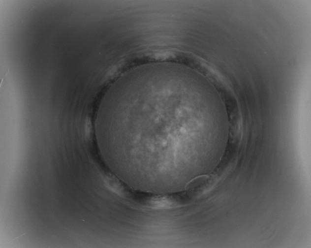 X0000116140704200911231311