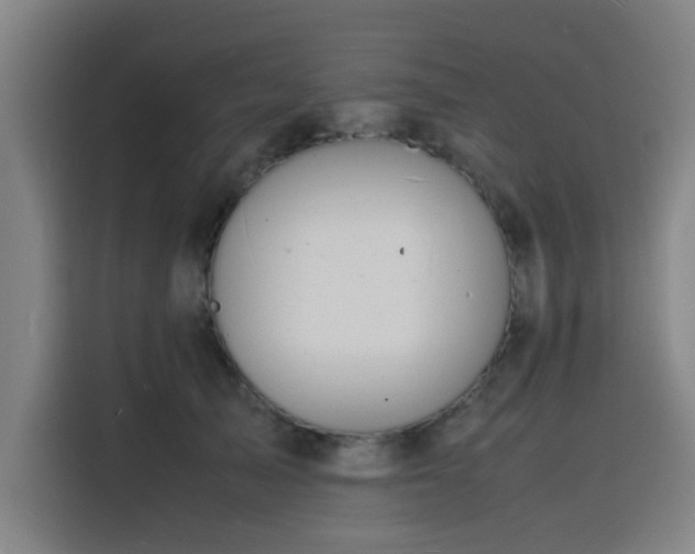 X0000116140705200911231311