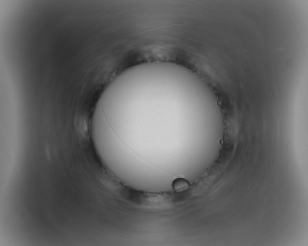 X0000116140709200911231311