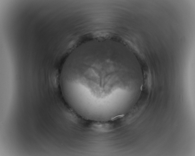 X0000116140712200911231311