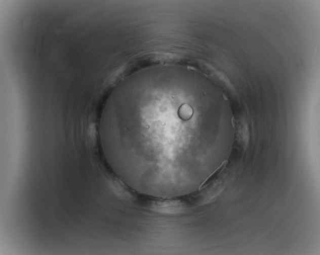 X0000116140716200911231311
