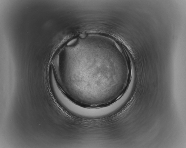 X0000116140721200911231310