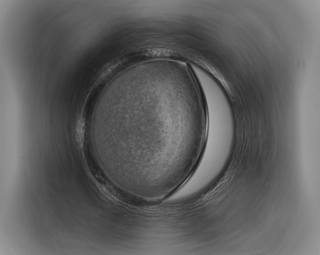 X0000116140722200911231310
