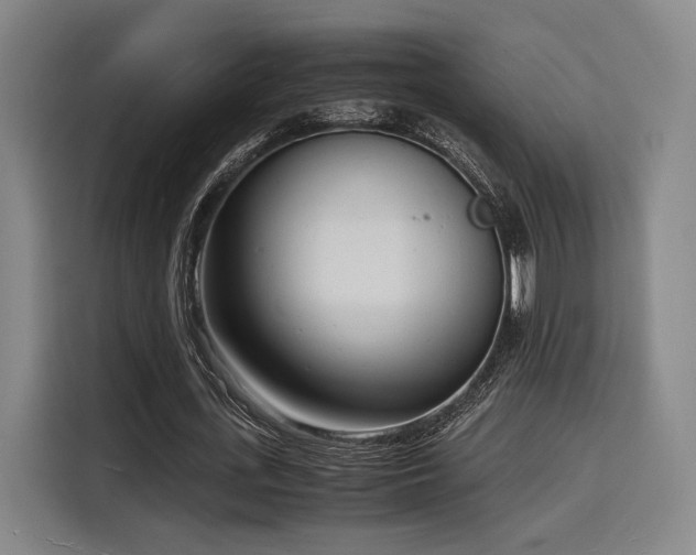 X0000116140723200911231310