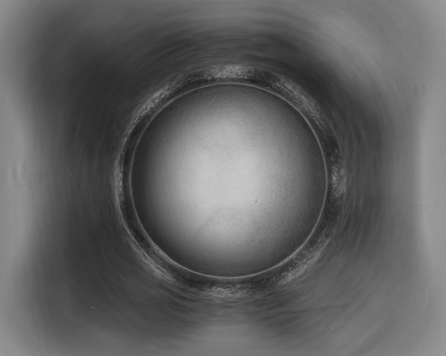 X0000116140725200911231310