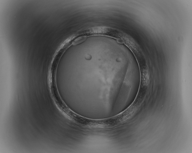 X0000116140726200911231310