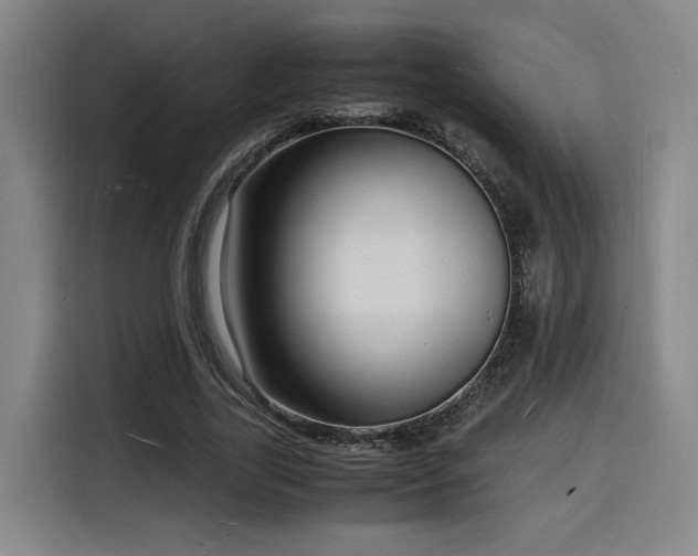 X0000116140731200911231310
