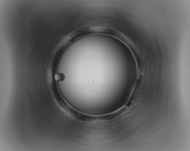 X0000116140734200911231310