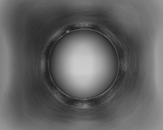 X0000116140735200911231310