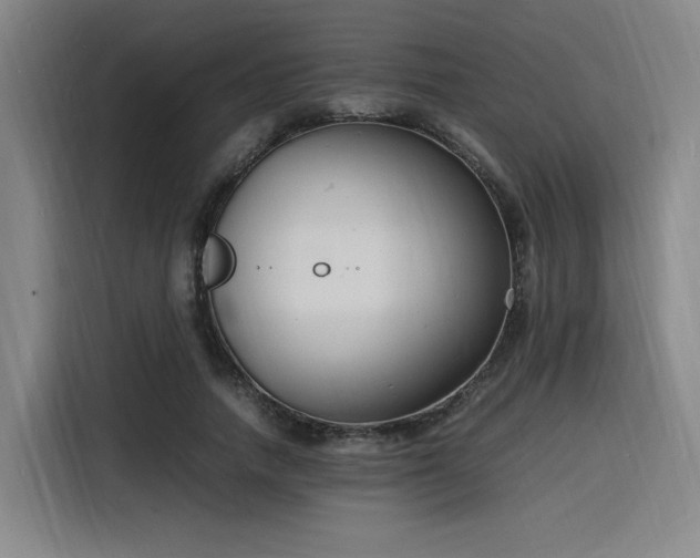 X0000116140738200911231310