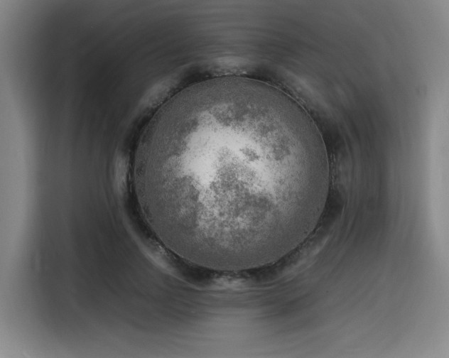 X0000116140742200911231310