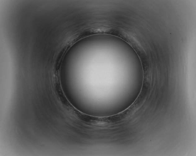 X0000116140743200911231310