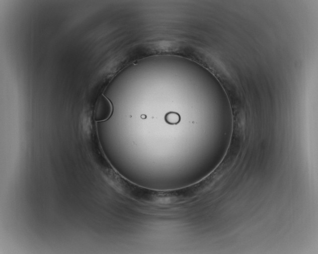 X0000116140746200911231310