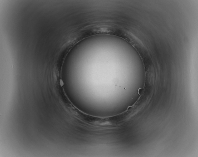 X0000116140747200911231310