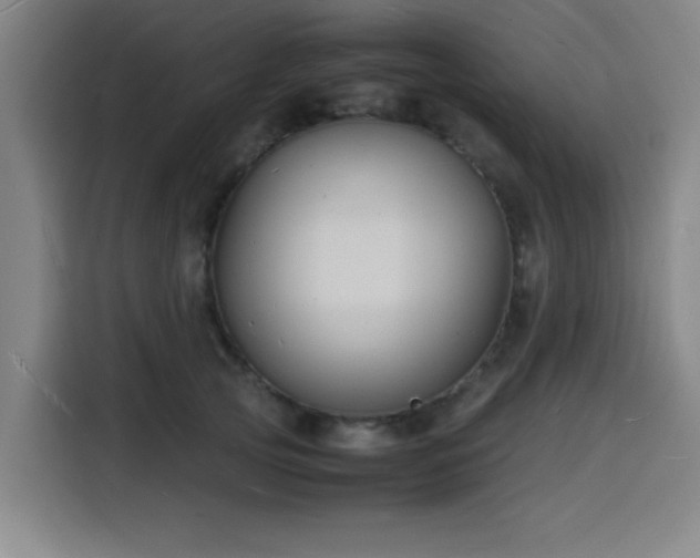 X0000116140753200911231311